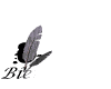 [bienvenue1]